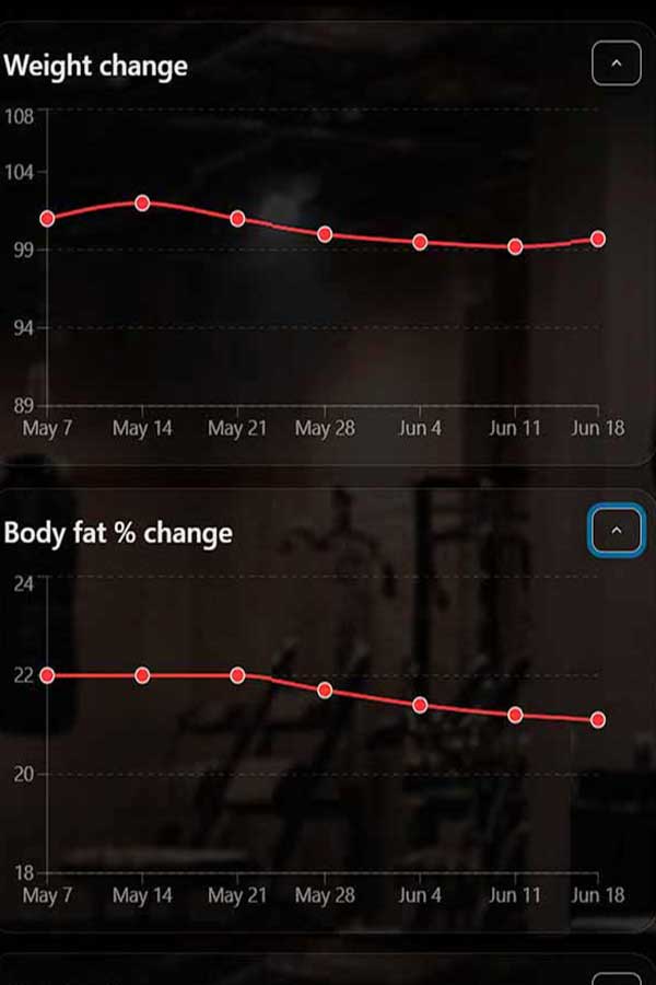 Body measurement and progress charts in FizX